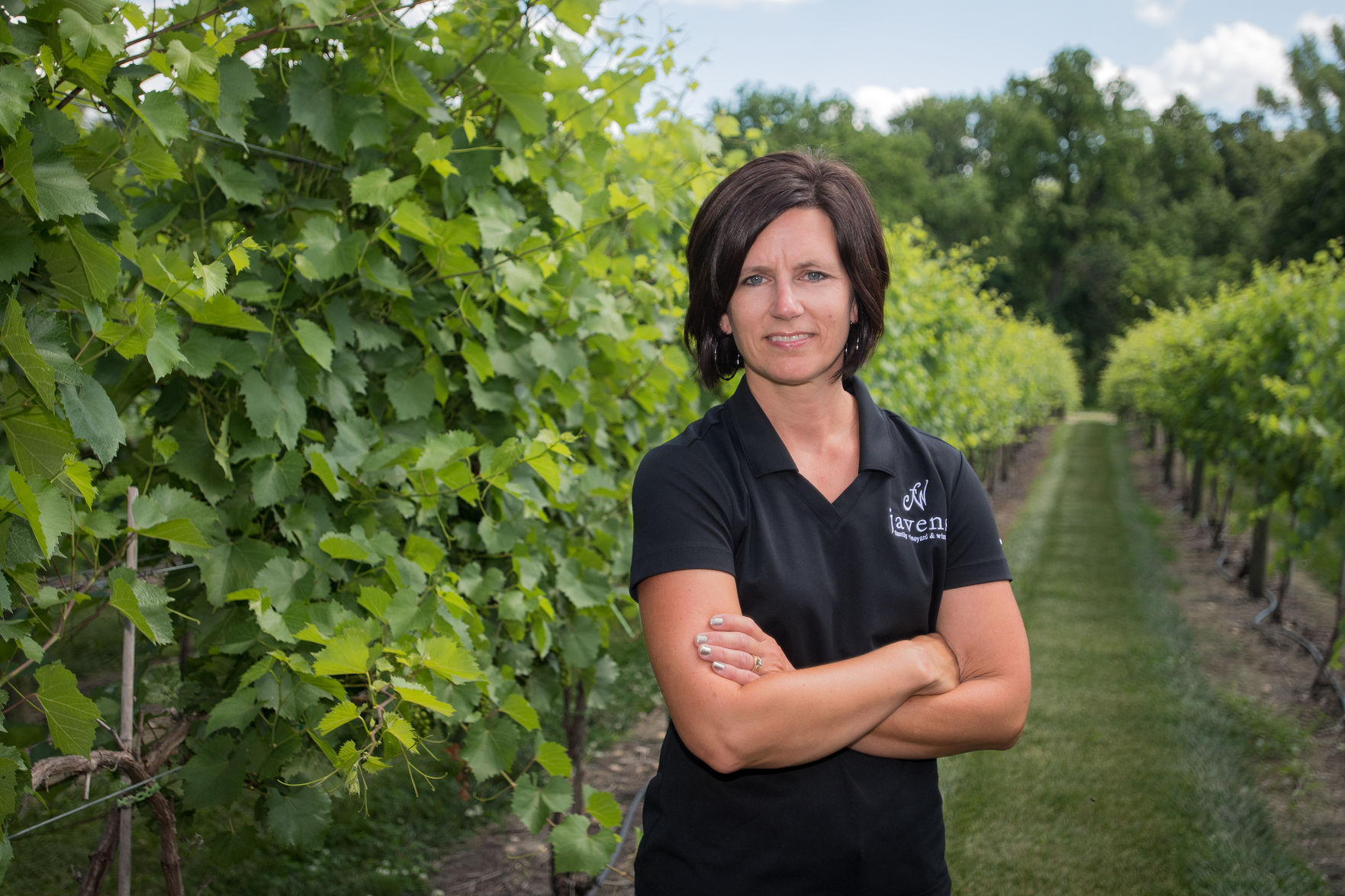 Javens Winery